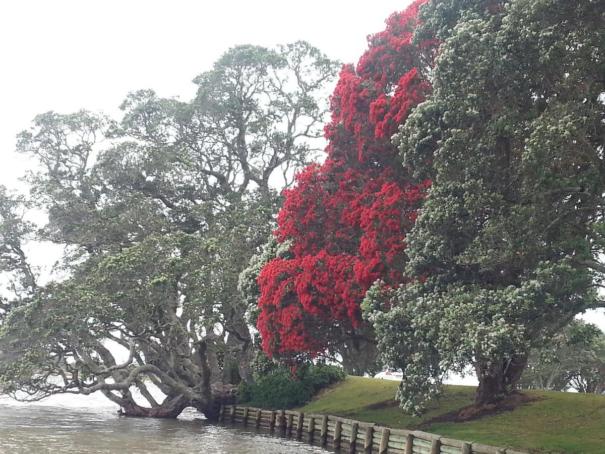 Athenree Hot Springs & Holiday Park Waihi Dış mekan fotoğraf